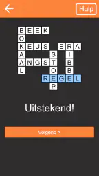 Kruiswoordpuzzel Nederlands 3