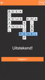 Kruiswoordpuzzel Nederlands 6