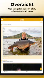 KWO Insights 8