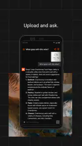 Le Chat by Mistral AI screenshot