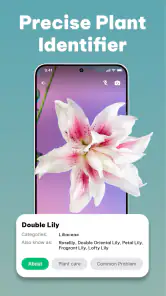LeafCheck: Plant Identifier screenshot