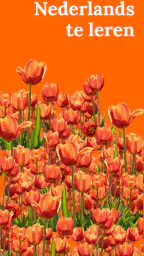 Nederlands leren - beginners 1
