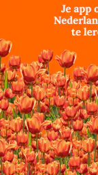 Nederlands leren - beginners 8