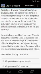 Life of a Wizard 2