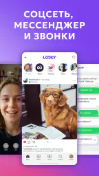 LOOKY — social network 1