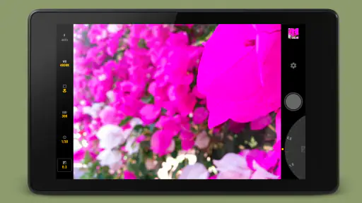 Manual Camera 7