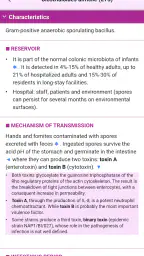 Mensa Guide 5