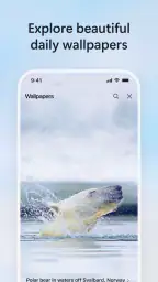 Microsoft Bing Search 8