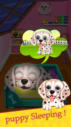 Mijn puppy kinderdagverblijf 7