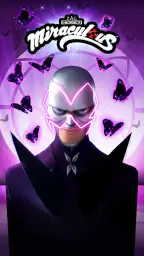 Miraculous Ladybug & Cat Noir 8