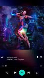 Muziekdownloader 5