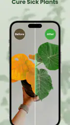 MyPlant: Identify & Care 5