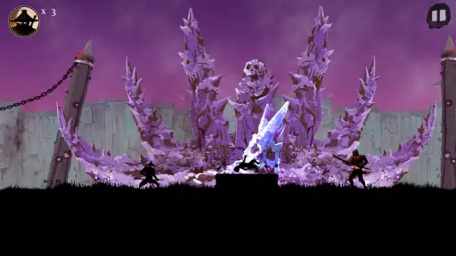 Ninja Arashi 2