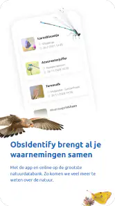 ObsIdentify screenshot