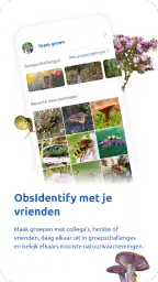ObsIdentify 4
