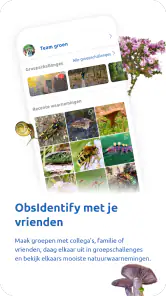 ObsIdentify screenshot