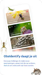 ObsIdentify 5