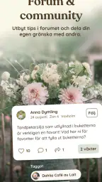 Oh!Garden - odling & trädgård 7