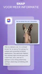 Opera-browser met AI screenshot