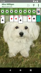 Patience Revisited Solitaire 3