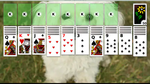 Patience Revisited Solitaire 8
