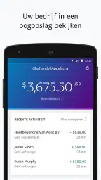 PayPal Business 1