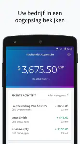 PayPal Business screenshot