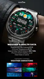 PER017 Digital Watch Face 3