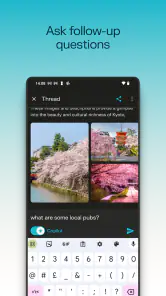 Perplexity - Ask Anything screenshot
