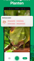 PictureThis -Planten Herkennen 4