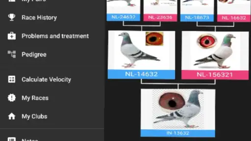 Pigeon Loft Manager 1