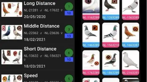 Pigeon Loft Manager 2