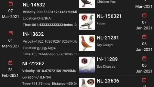 Pigeon Loft Manager 5