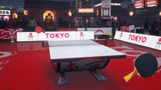 Ping Pong Fury 8