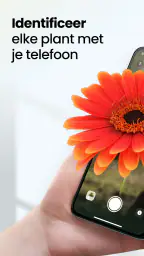 Plant App - Plantzoeker 1