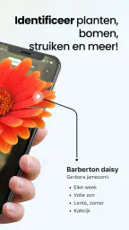 Plant App - Plantzoeker 2