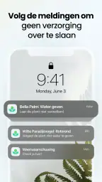 Plant App - Plantzoeker 8