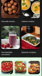 Plantaardig dieet recepten 3