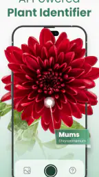 Plantify: AI Plant Identifier 1