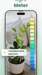 Plantify: AI Plant Identifier 3