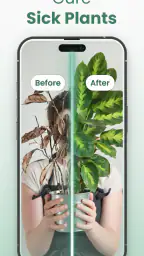 Plantify: AI Plant Identifier 6