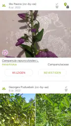 Pl@ntNet plantenidentificatie 4