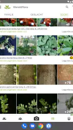Pl@ntNet plantenidentificatie 7