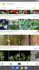 Pl@ntNet plantenidentificatie screenshot
