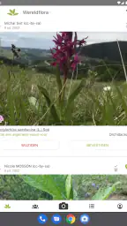 Pl@ntNet plantenidentificatie 8