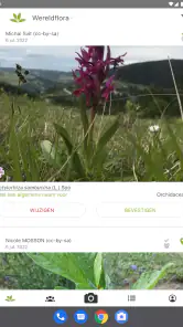 Pl@ntNet plantenidentificatie screenshot