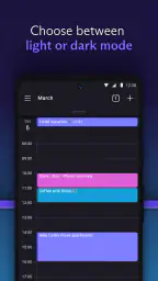 Proton Calendar: Dagplanner 4