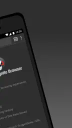 Puffin Incognito-browser 2
