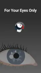 Puffin Incognito-browser 5