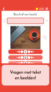 Raad 5 - Nederlandse Quiz screenshot